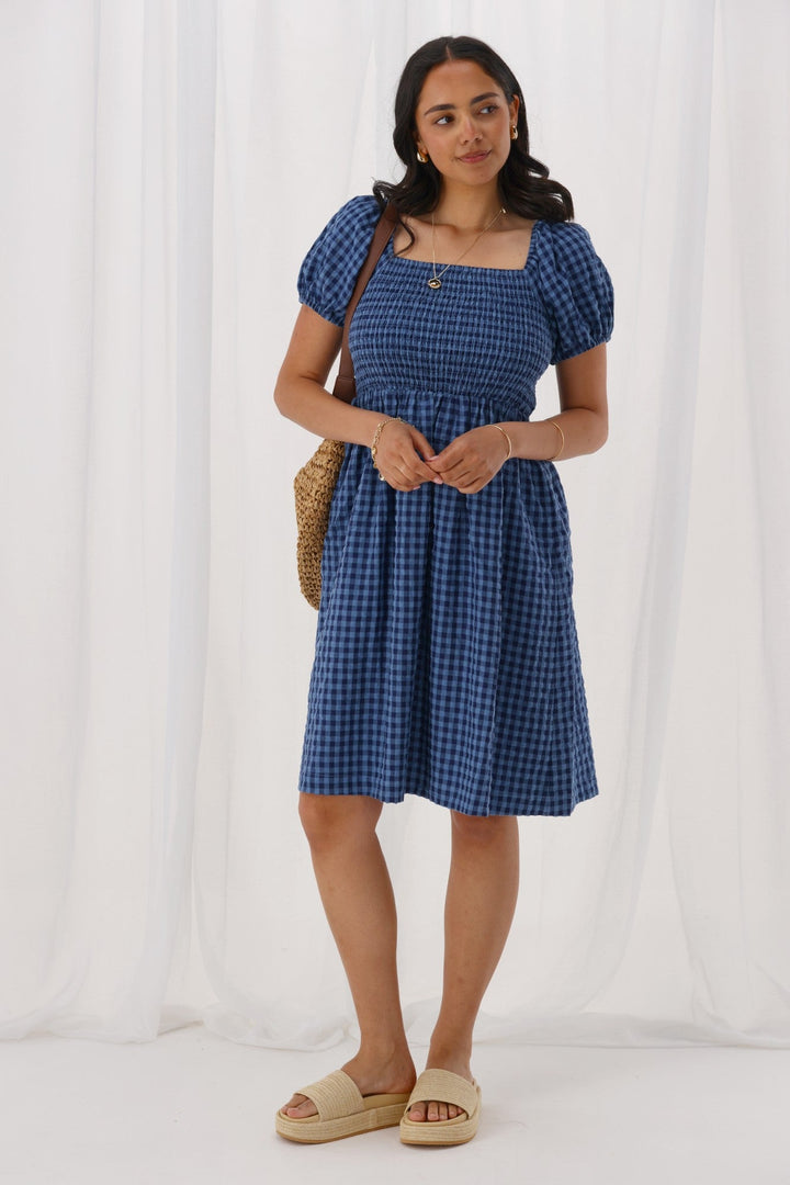 Label Anara Dress Blue And Navy Check
