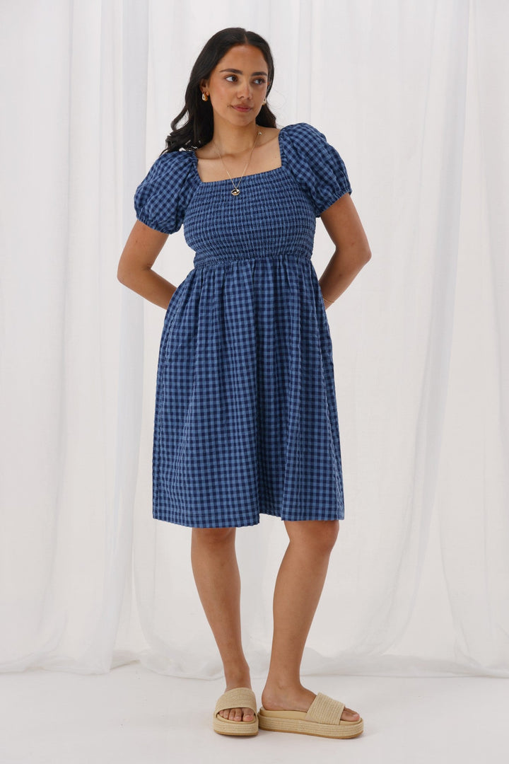 Label Anara Dress Blue And Navy Check