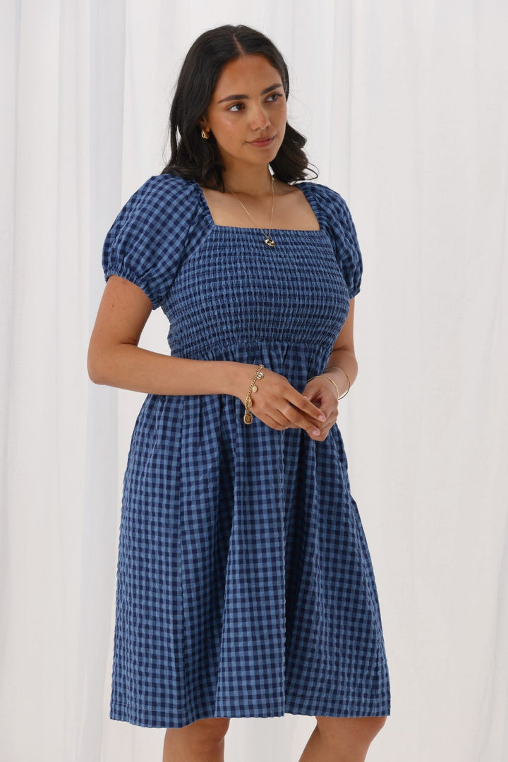 Label Anara Dress Blue And Navy Check