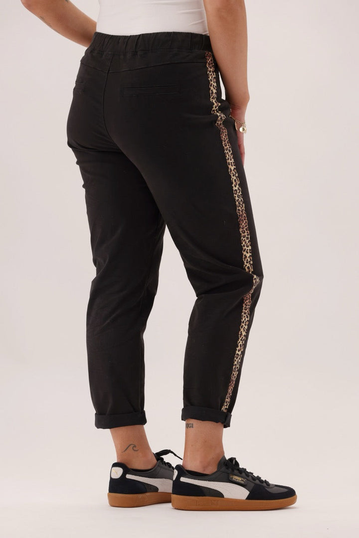 Label Raglan Jogger Black With Animal Side Strip
